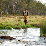 Fishing Nov-Dec 2005