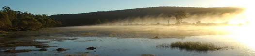 shallows at dawn